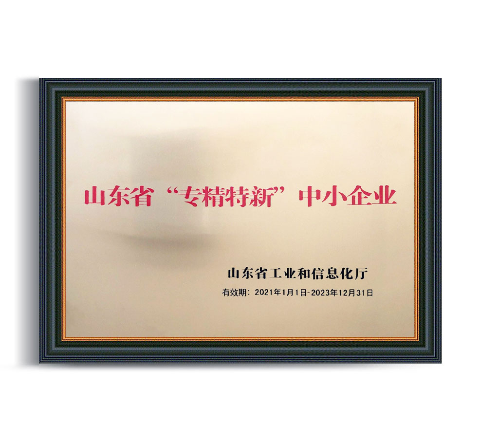 山東省“專(zhuān)精特新’中小企業(yè)