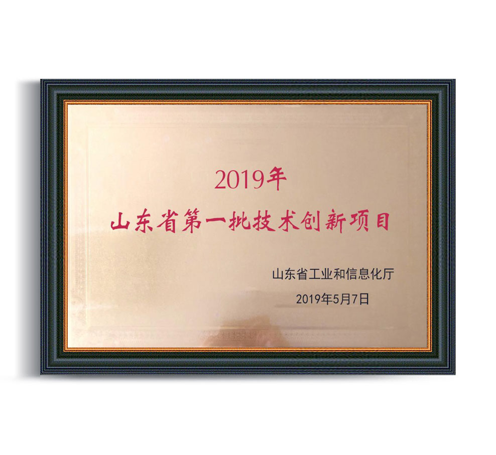 2019年山東省第 一批技術(shù)創(chuàng  )新項目