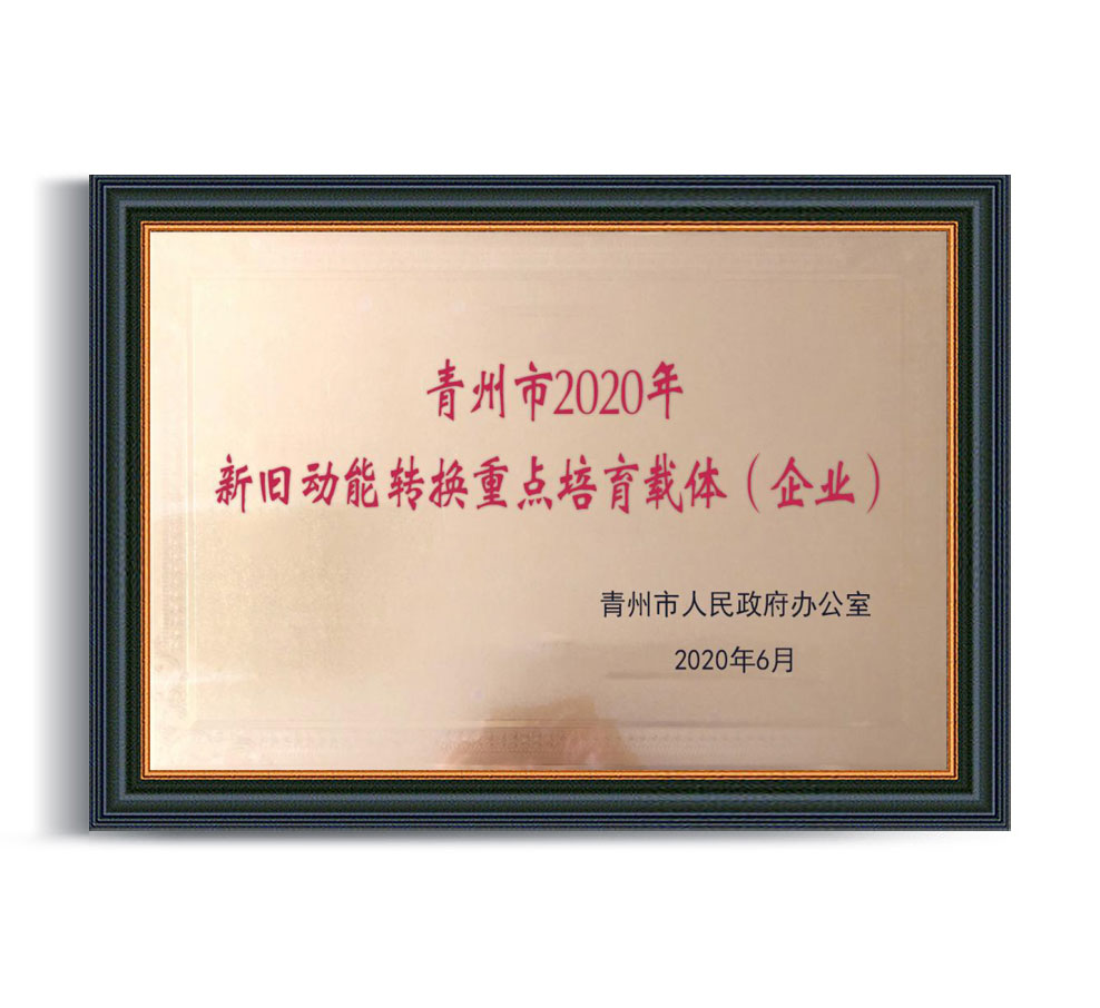 青州市2020年新舊動(dòng)能轉換重點(diǎn)培育載體 (企業(yè)）