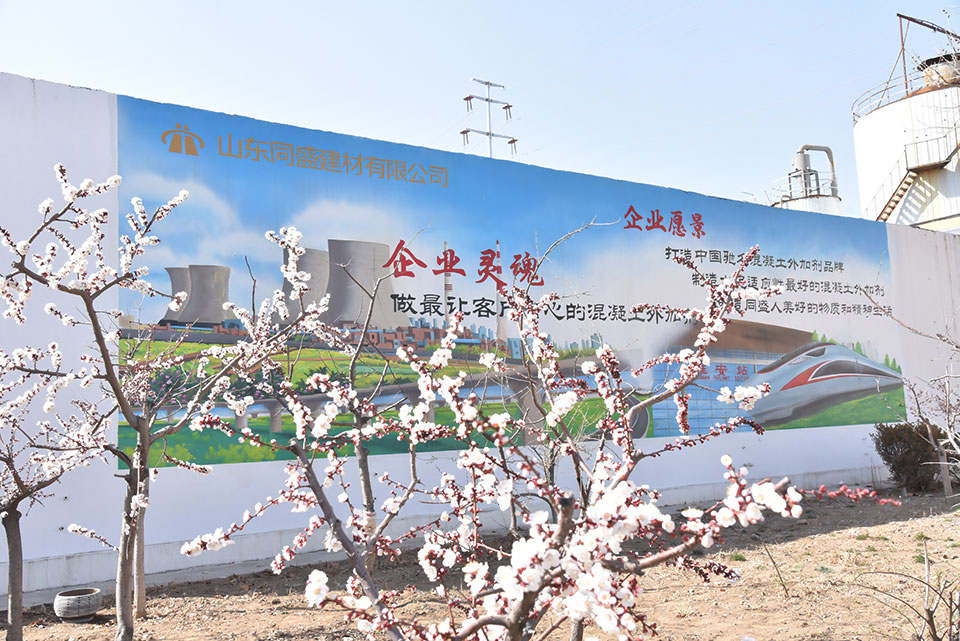 企業(yè)文化墻展示